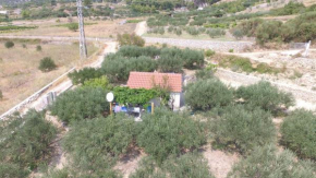 Holiday house with a parking space Bol, Brac - 12604
